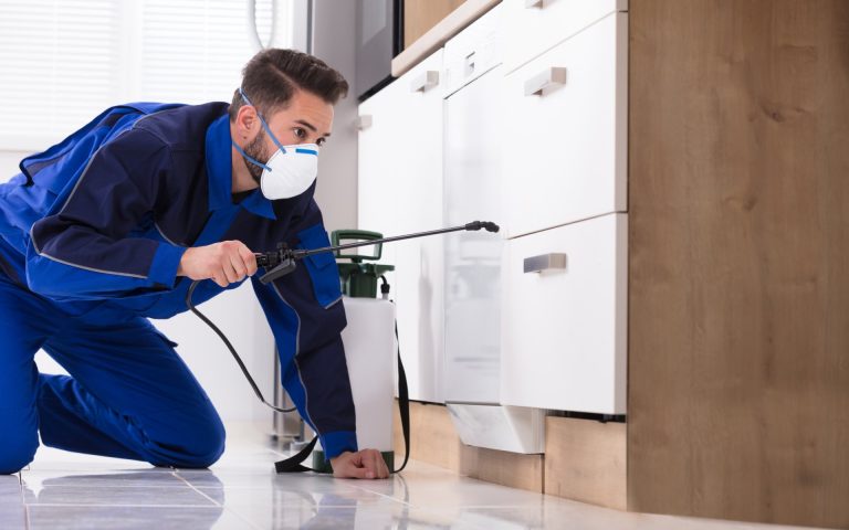 Invasive Pests Threats to Ecosystems