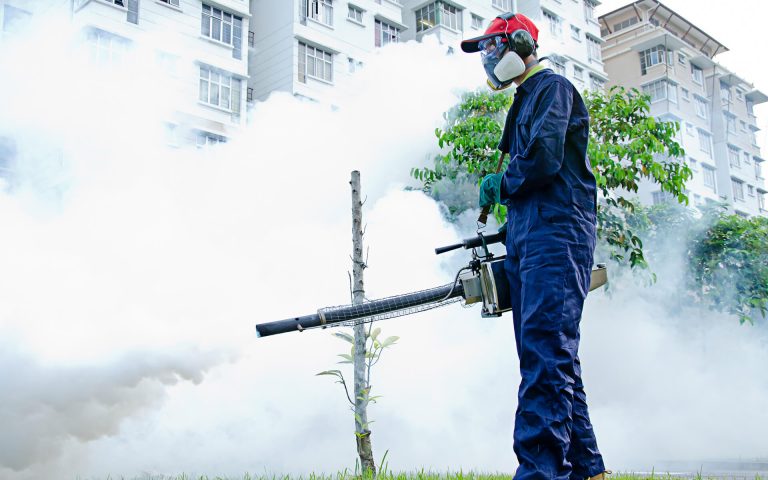 Expert Pest Control Services: Offering Efficient and Effective Solutions for Pest Problems