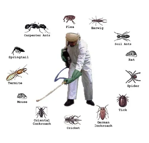 Sustainable Pest Control Practices: Investing in the Future