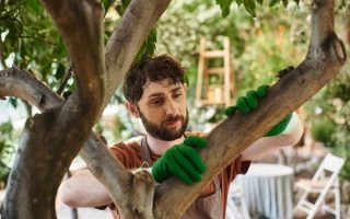 Simplifying Garden Maintenance with Leaf Mulch