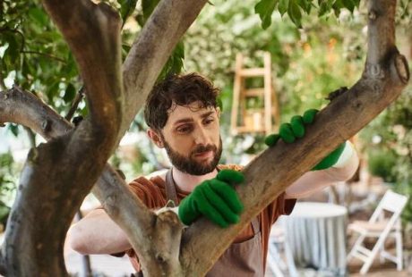 Simplifying Garden Maintenance with Leaf Mulch